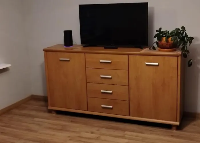 Apartament Bitwy Pod Plowcami